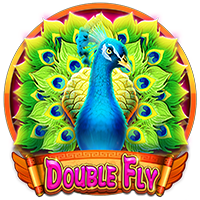 Double Fly 