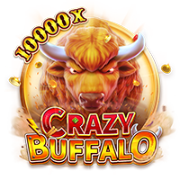 CRAZY BUFFALO