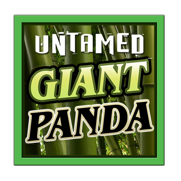 Untamed - Giant Panda