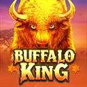 Buffalo King