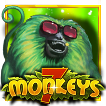 Monkeys JP
