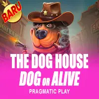 The Dog House – Dog or Alive
