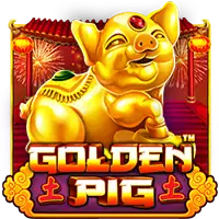 Golden Pig