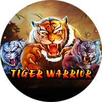 Tiger Warrior