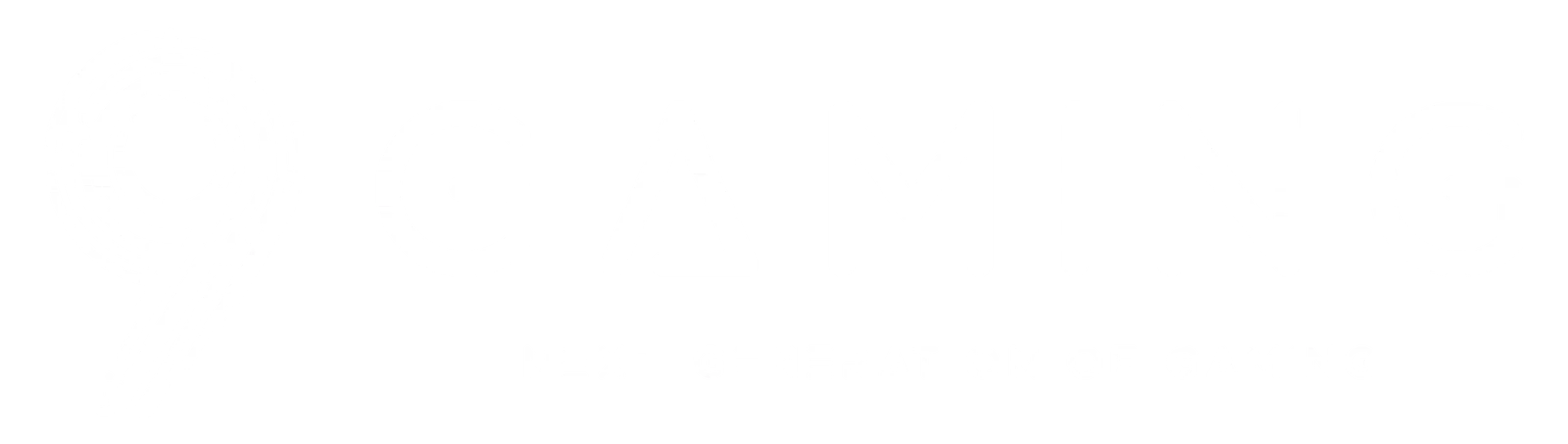 9Gaming
