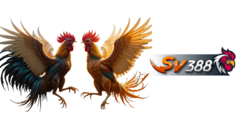 SV388